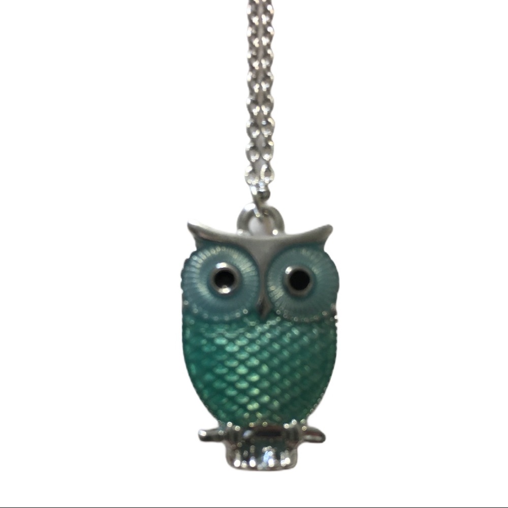 Turquoise Owl Necklace 18in Stainless Stl Chn